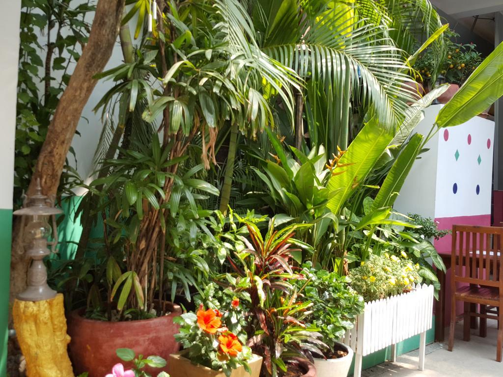 The Little Garden Boutique Hotel 金边 外观 照片